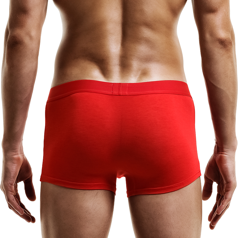 Ropa interior para hombre, cal - Boxer Shorts Modal reseña y precio