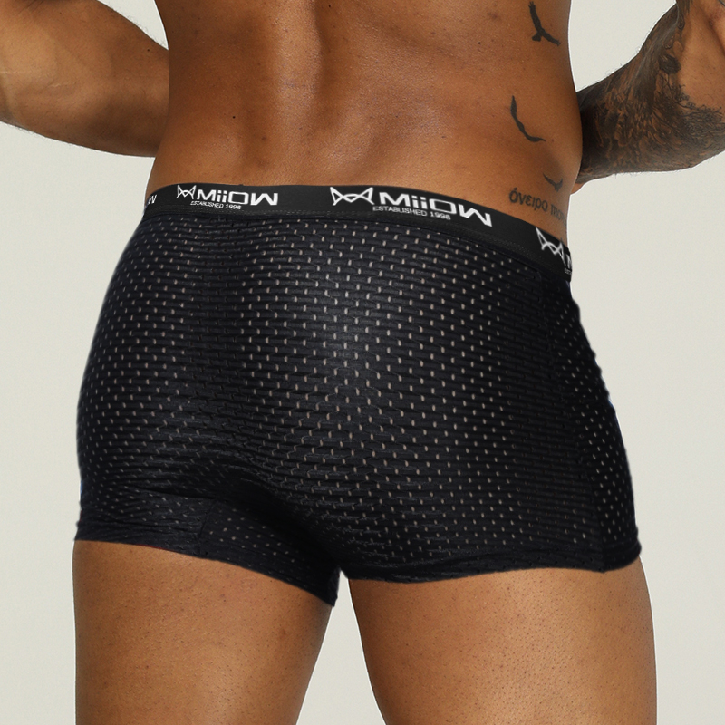MiiOW-ropa interior de malla p - Boxer Shorts Modal reseña y precio