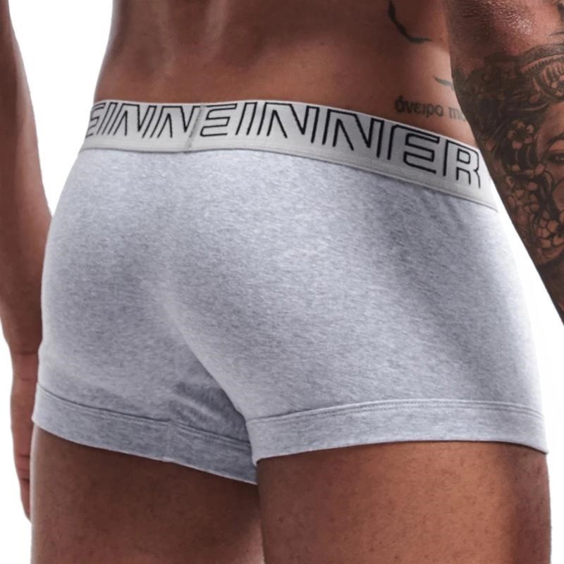 Seeinner calzoncillos Boxer pa - Boxer Brief Pack Cotton reseña y precio