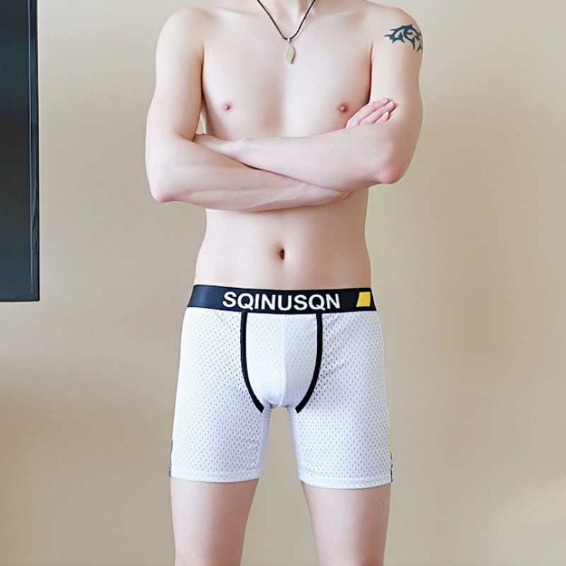 Calzoncillos Boxer de Malla de - Long Leg Trunk Men reseña y precio
