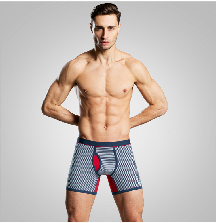 Ropa interior masculina de cal - Boxer Shorts Modal reseña y precio